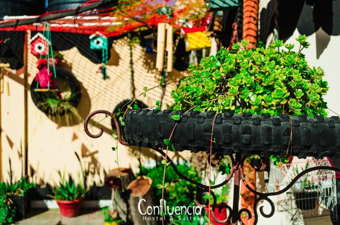 מנדוזה Hostal Confluencia מראה חיצוני תמונה